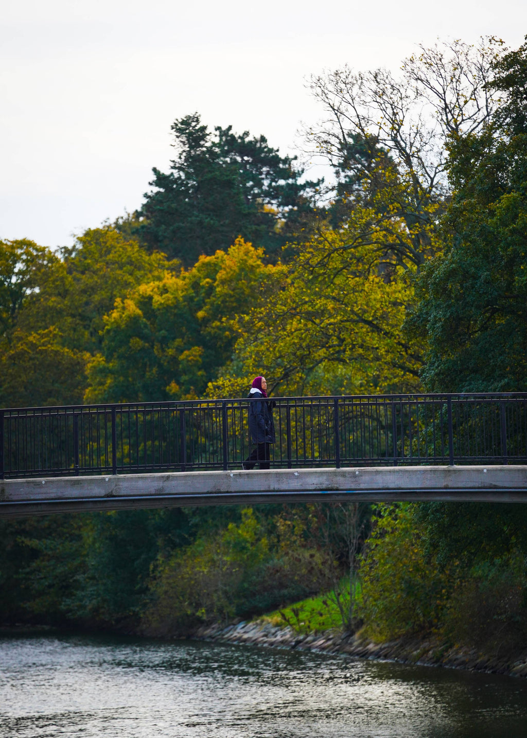 Bridge Crossing