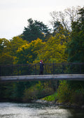 Bridge Crossing