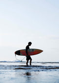 Surfer I