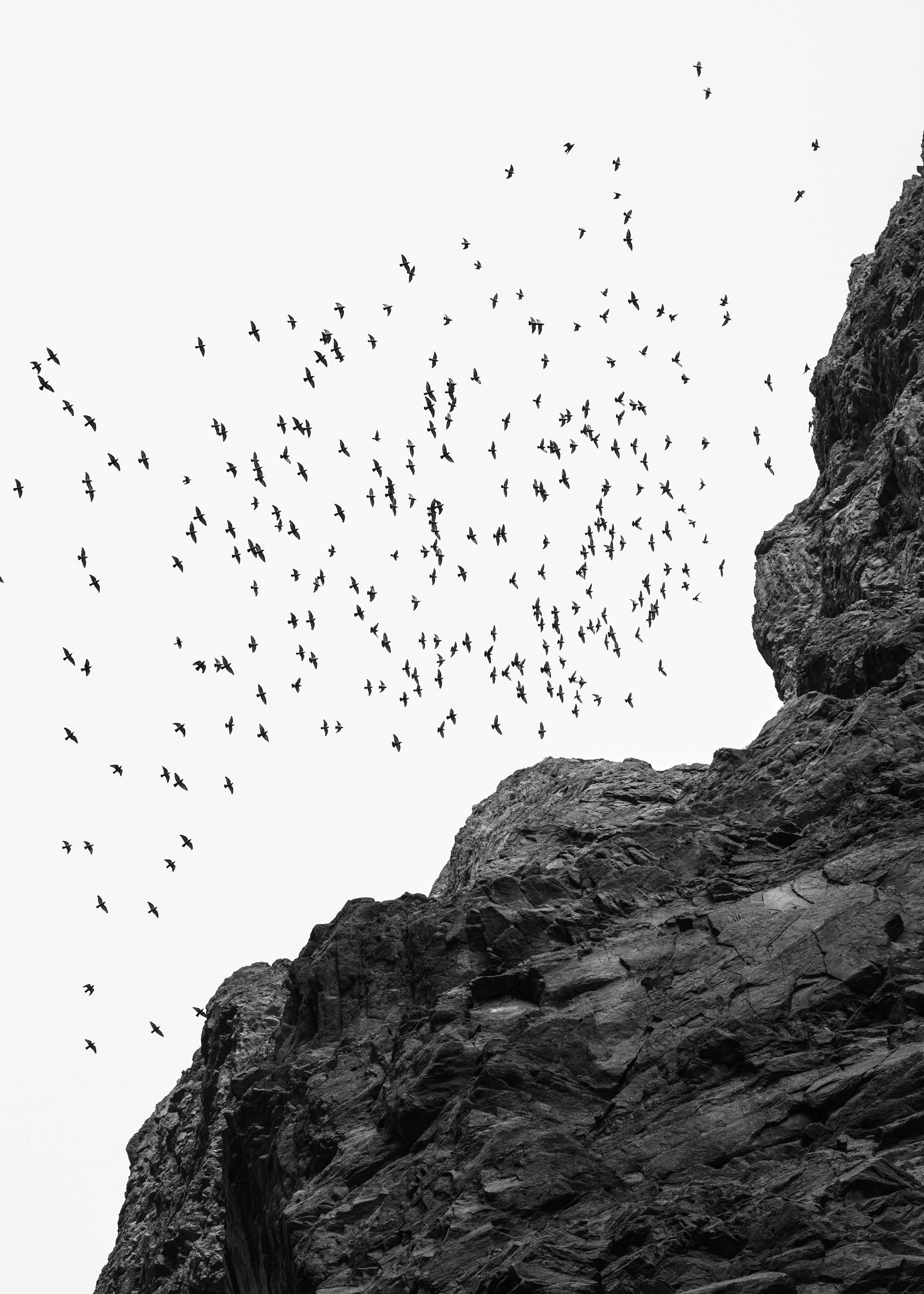 Wadi II