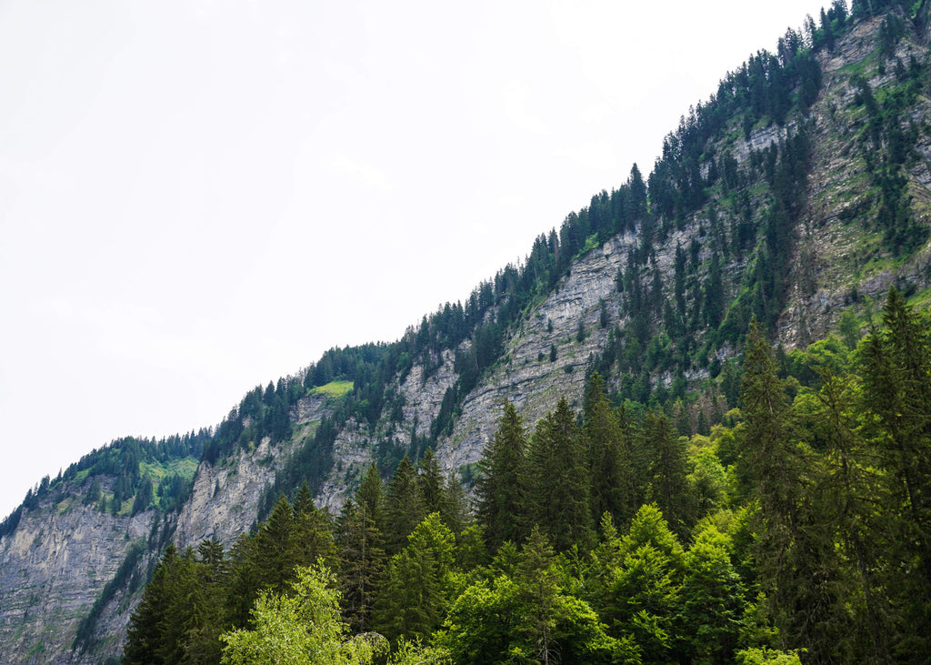 Lac de Montriond