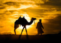 Sunset Silhouette I