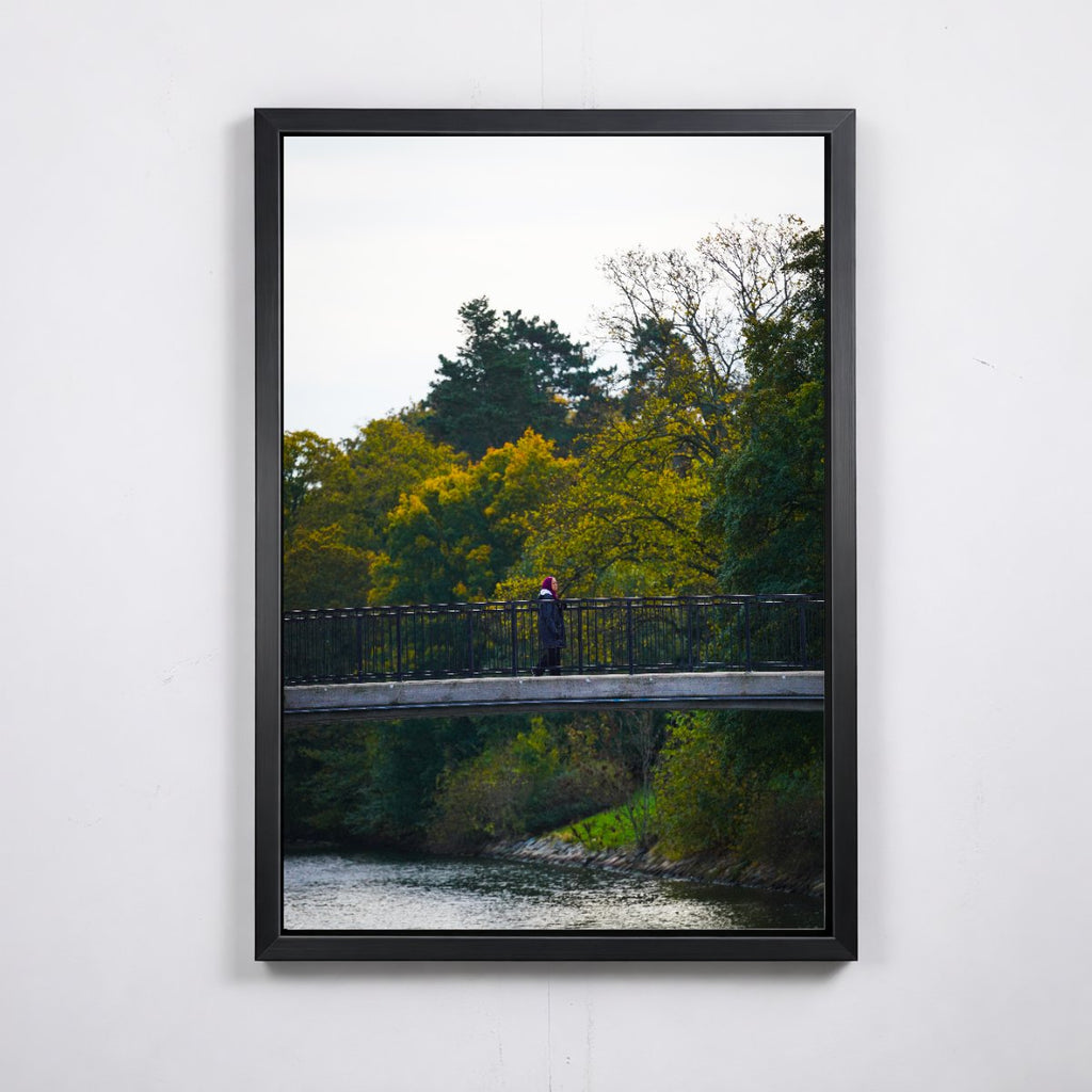 Bridge Crossing