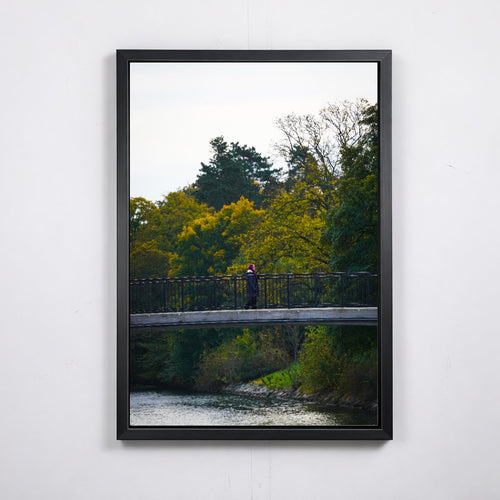 Bridge Crossing