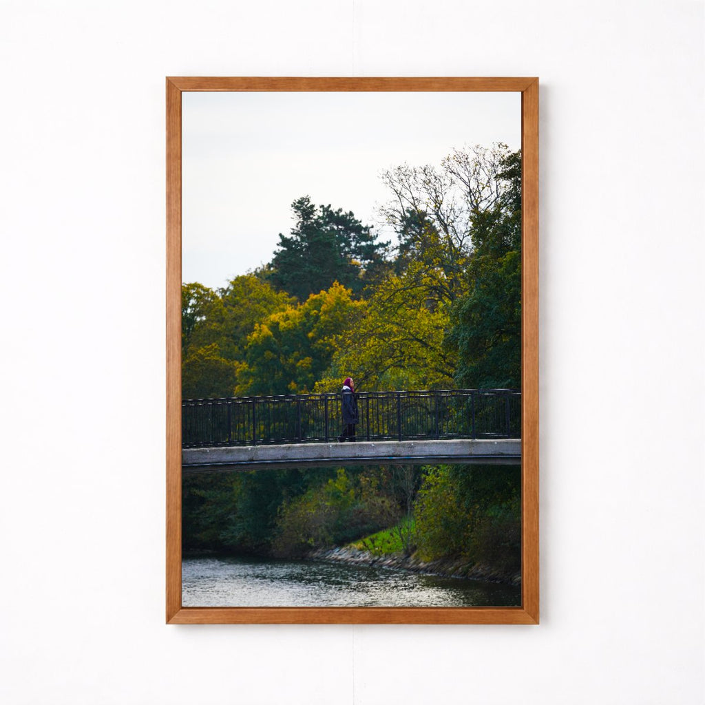Bridge Crossing