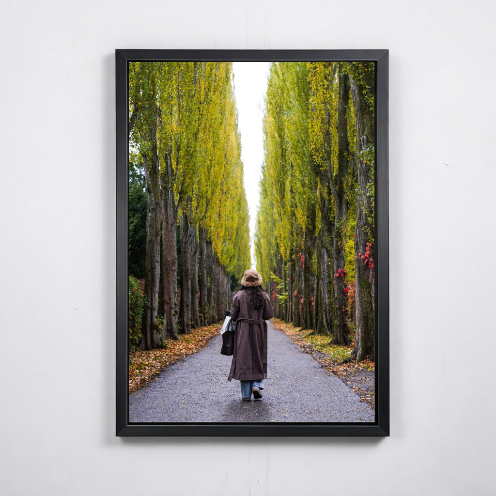 Stroll in the Park