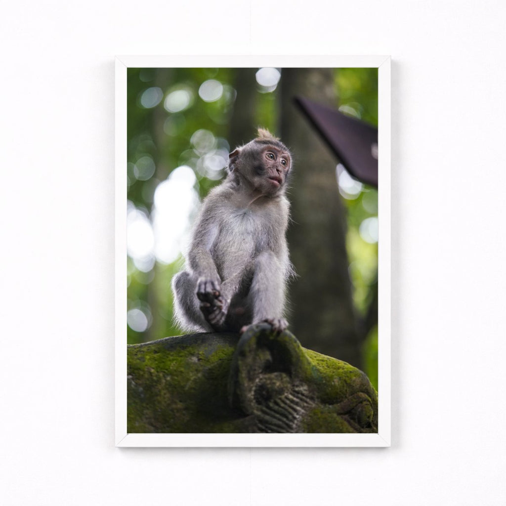 Balinese Monkey I
