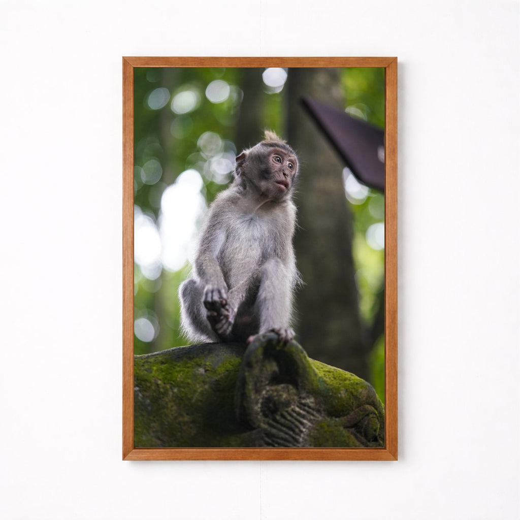 Balinese Monkey I