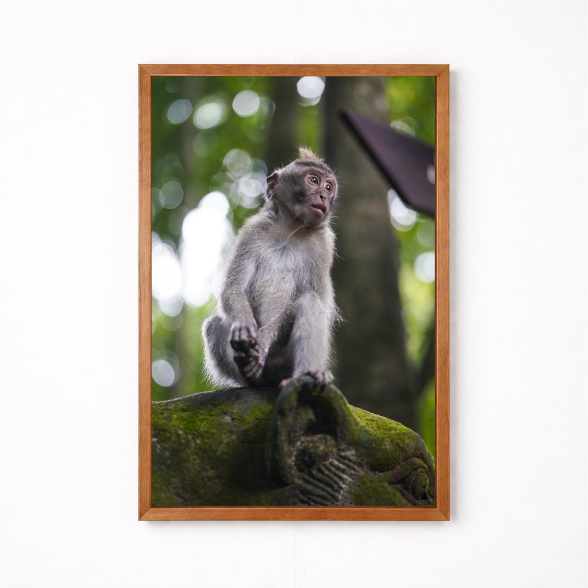 Balinese Monkey I