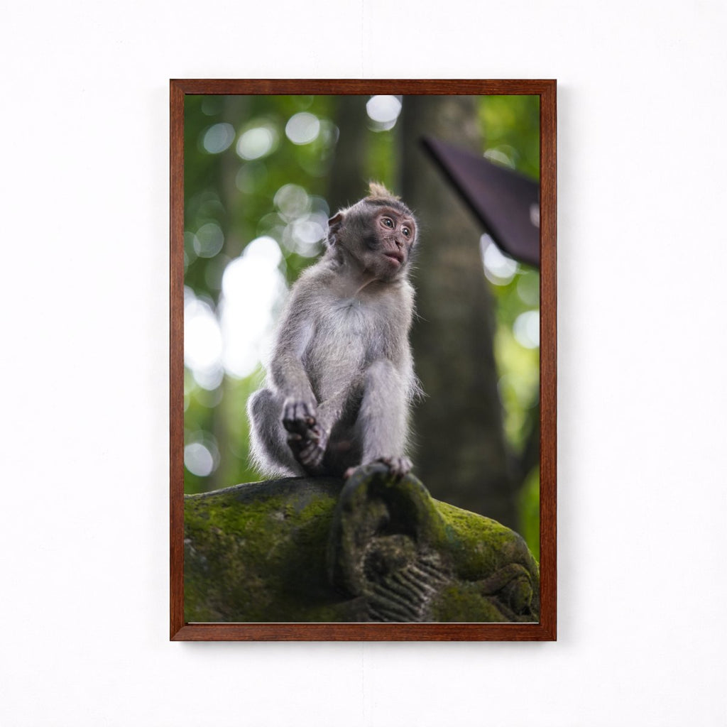 Balinese Monkey I