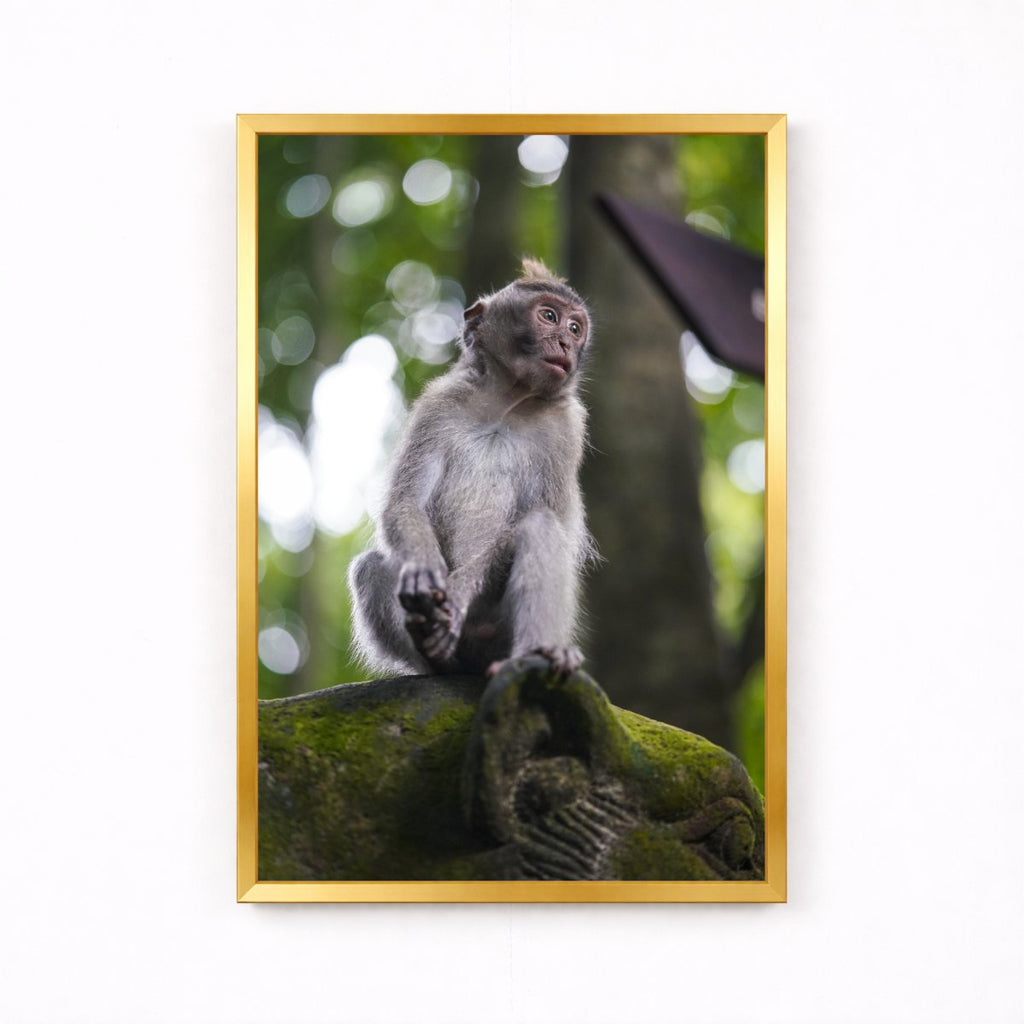Balinese Monkey I