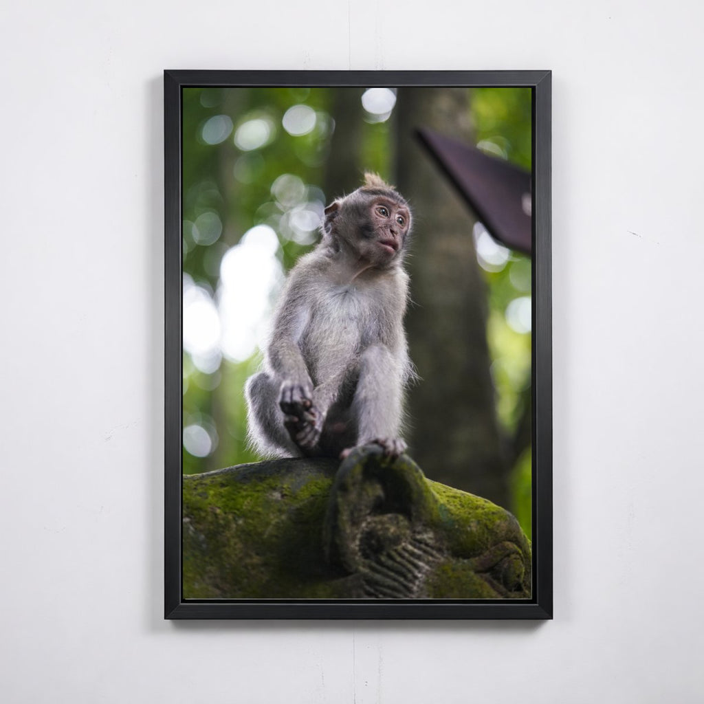 Balinese Monkey I