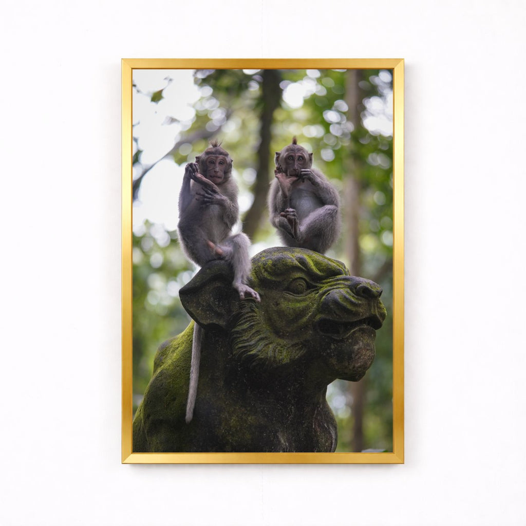 Balinese Monkeys