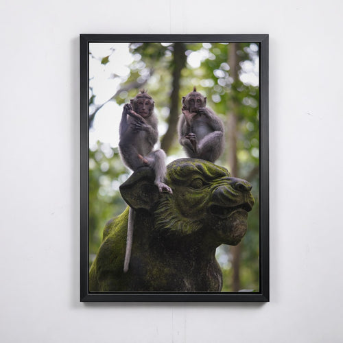 Balinese Monkeys