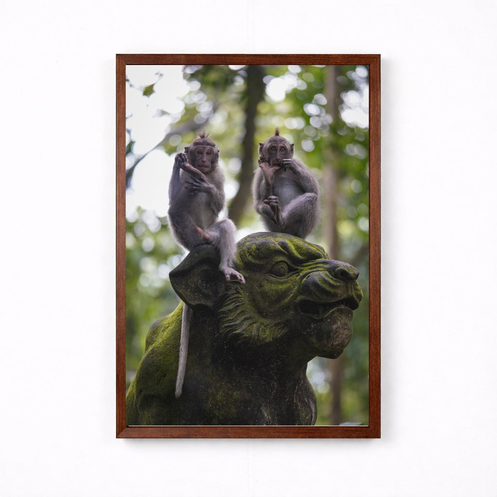 Balinese Monkeys