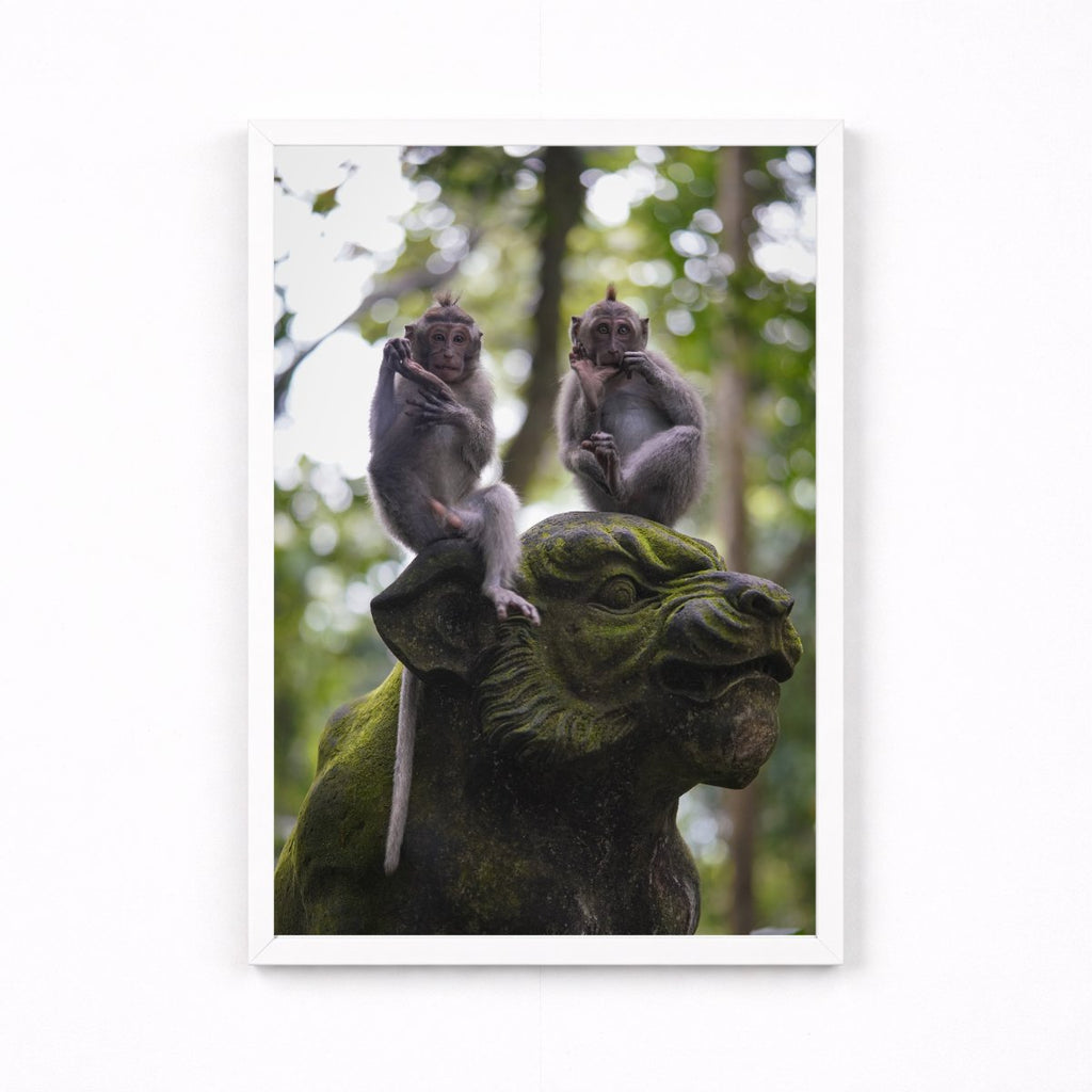 Balinese Monkeys