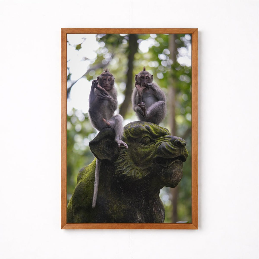 Balinese Monkeys