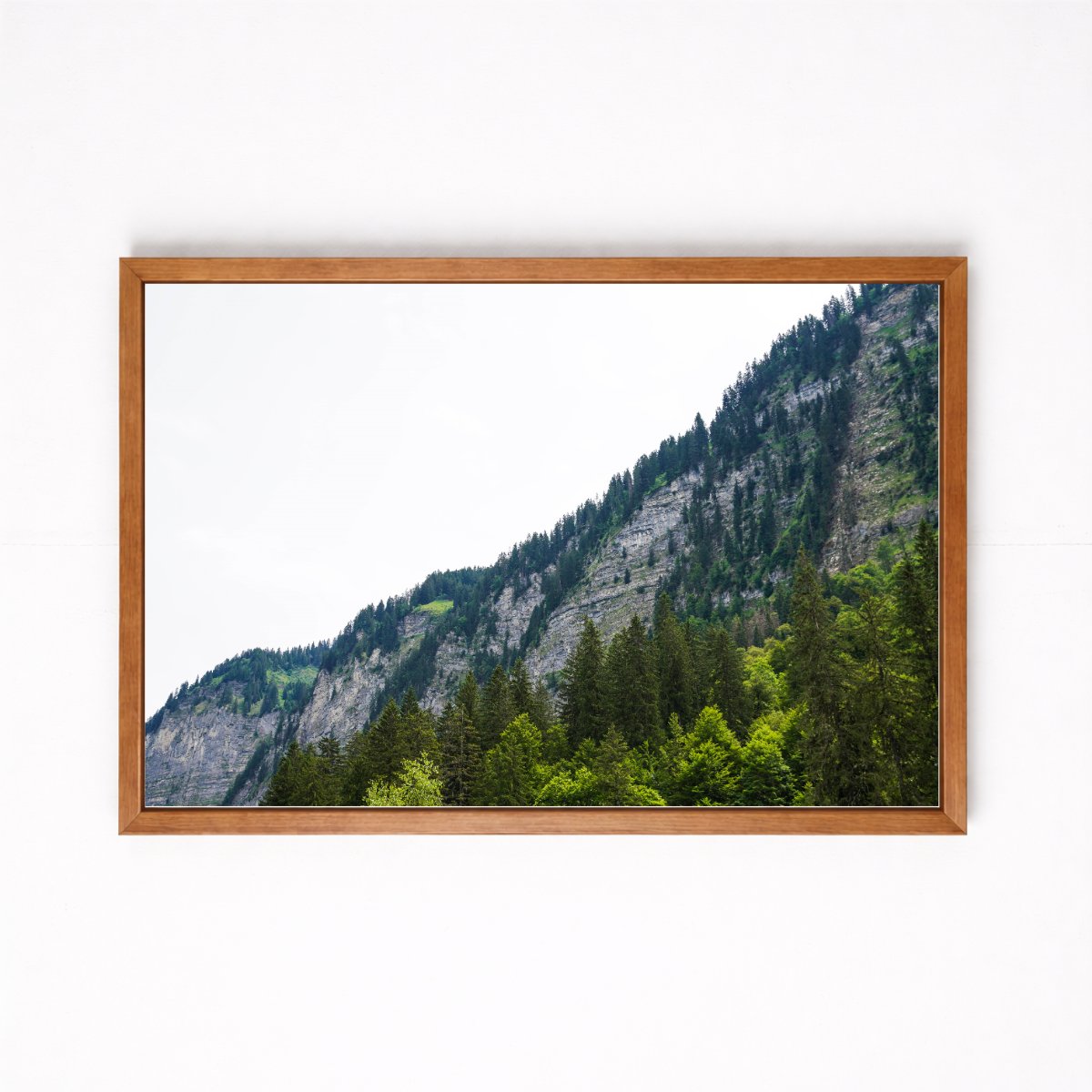 Lac de Montriond