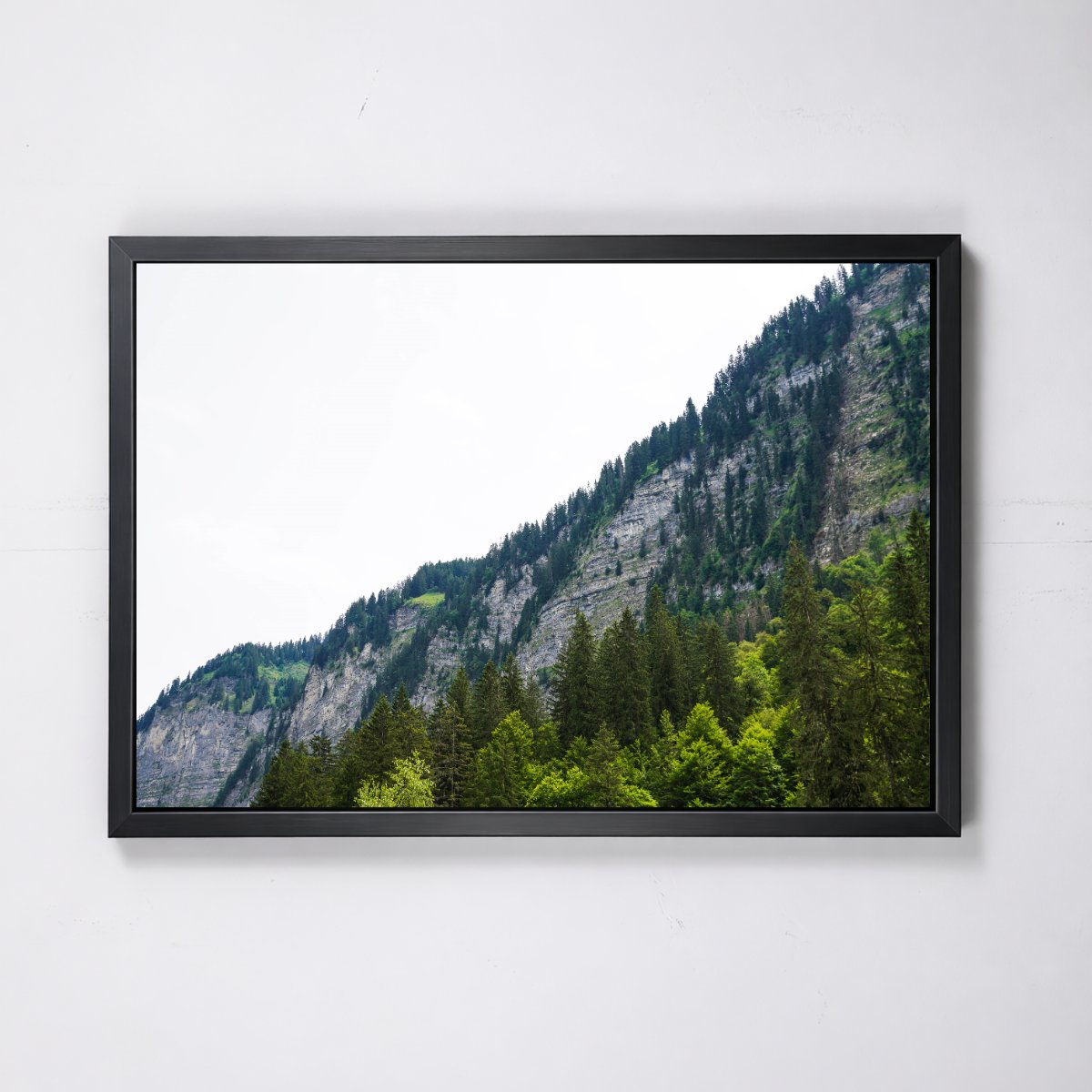 Lac de Montriond