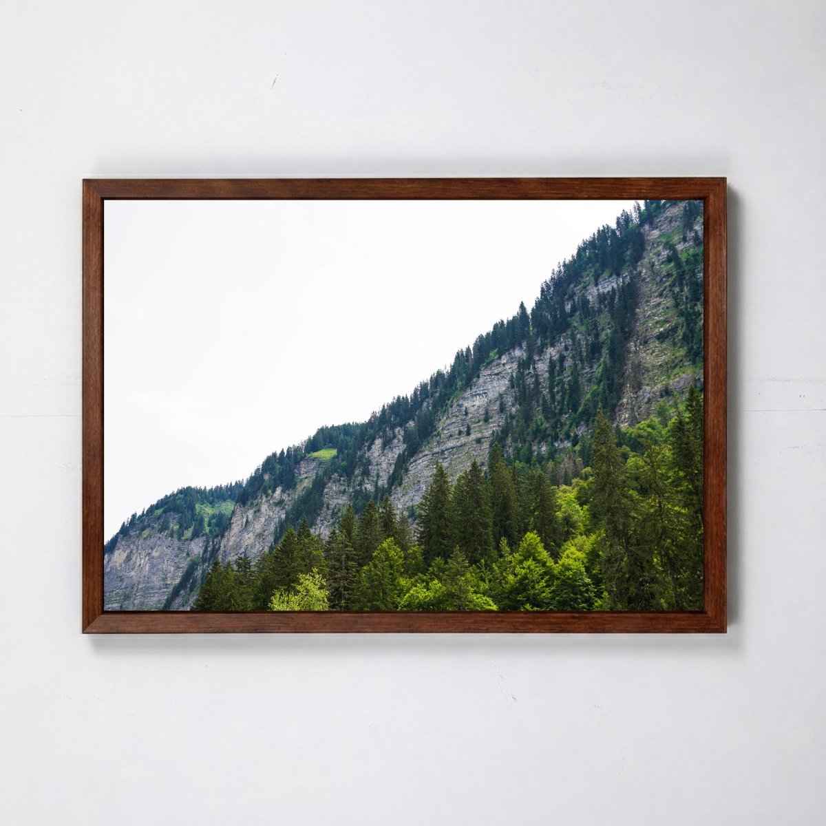 Lac de Montriond