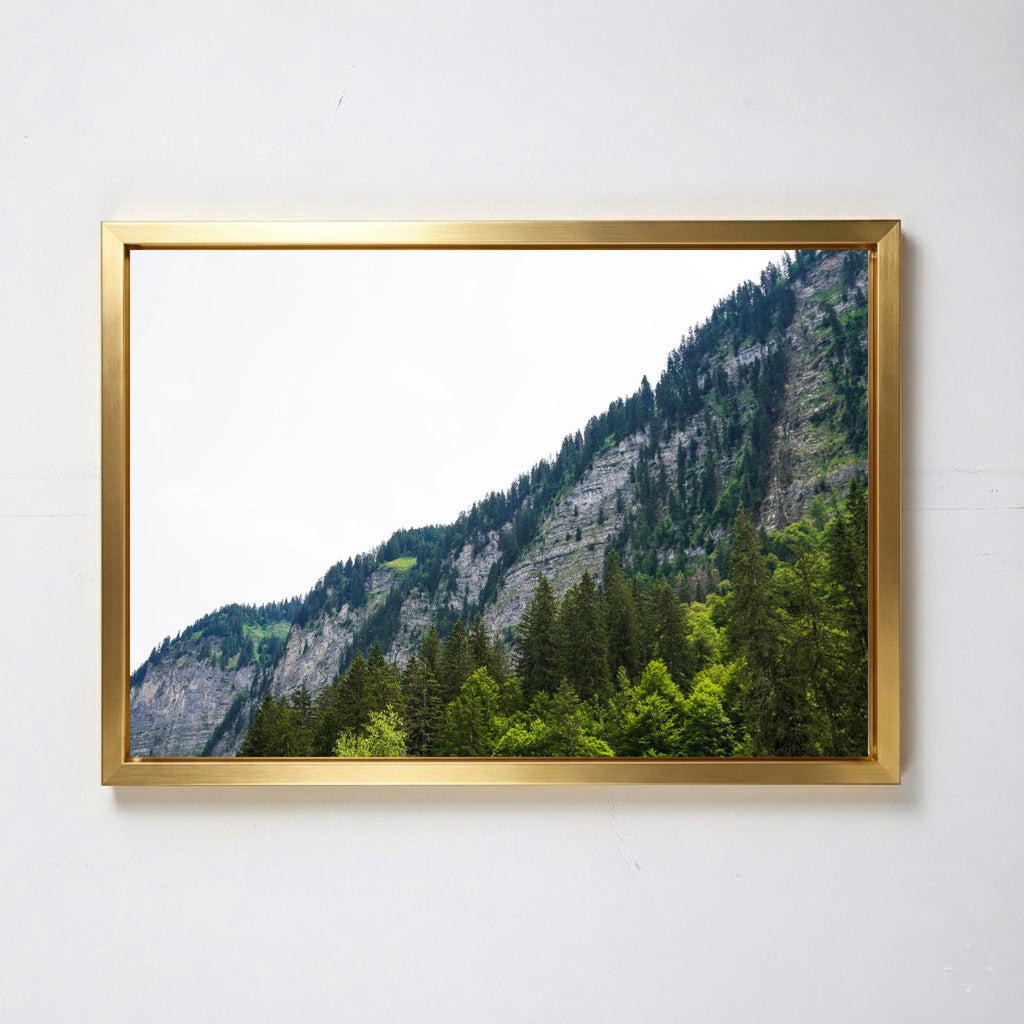 Lac de Montriond